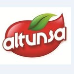 altunsa global