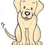 A Dogs-Tail by Joanna Porter