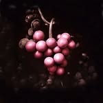 GREYWACKE