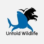 Untold Wildlife