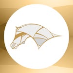 Qatar Racing & Equestrian Club