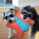 Molly and Marco (M&M)