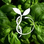 Organic Fertiliser + Minerals
