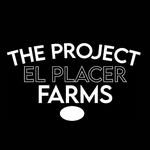 🇨🇴THE PROJECT EL PLACER FARMS 🇨🇴