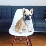 Miss Louis(MissLV)👜🇫🇷 boujee