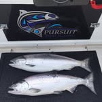 Pursuit Sport Fishing Charters