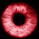 TEXT MY EYES