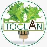 TOCLAN BORNEO