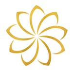 Body Catalyst