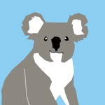 Lenko 🐨❤️