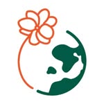 International Flower and Gift Delivery | Online Florist