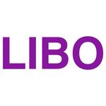 Libo Cosmetics Group