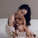 𝒞ℒ
