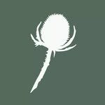 Thistle Hall Community Venue