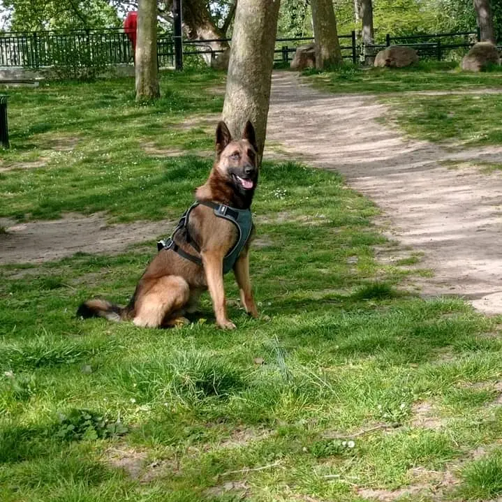 mat