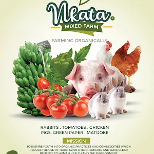 nkata mixed farm