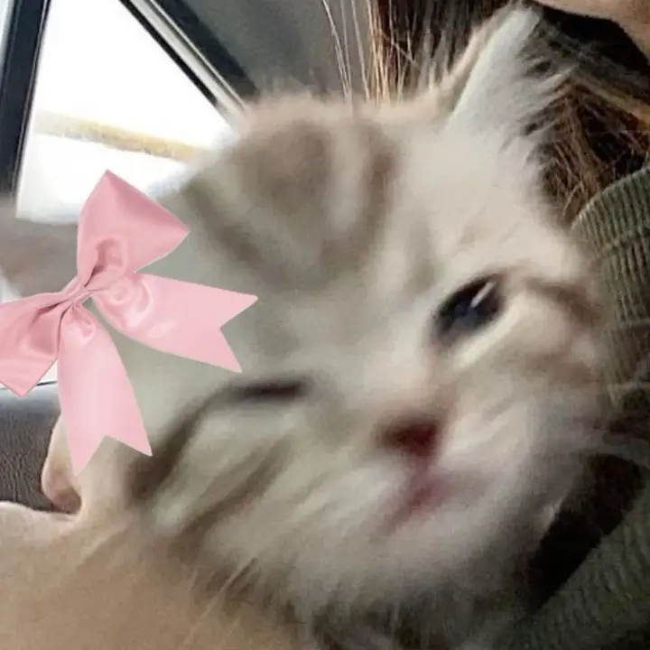 leonaarviiii