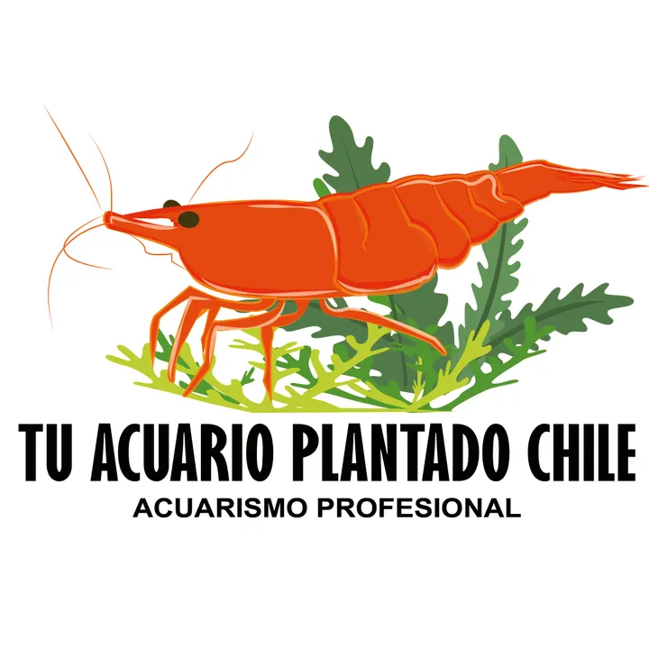 Tu acuario plantado Chile