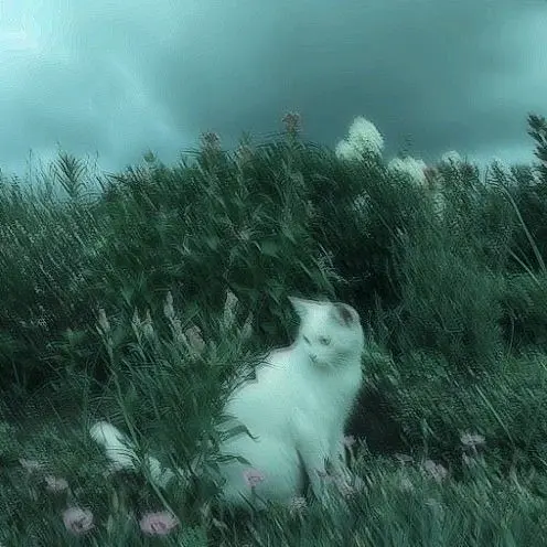 💤ℳ𝒾𝓁𝒶𝑔𝓇𝑜𝓈💤