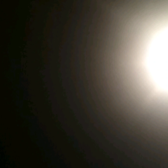 ᒍᕼᗩᑎE ᖇIᑎᗪᑌ