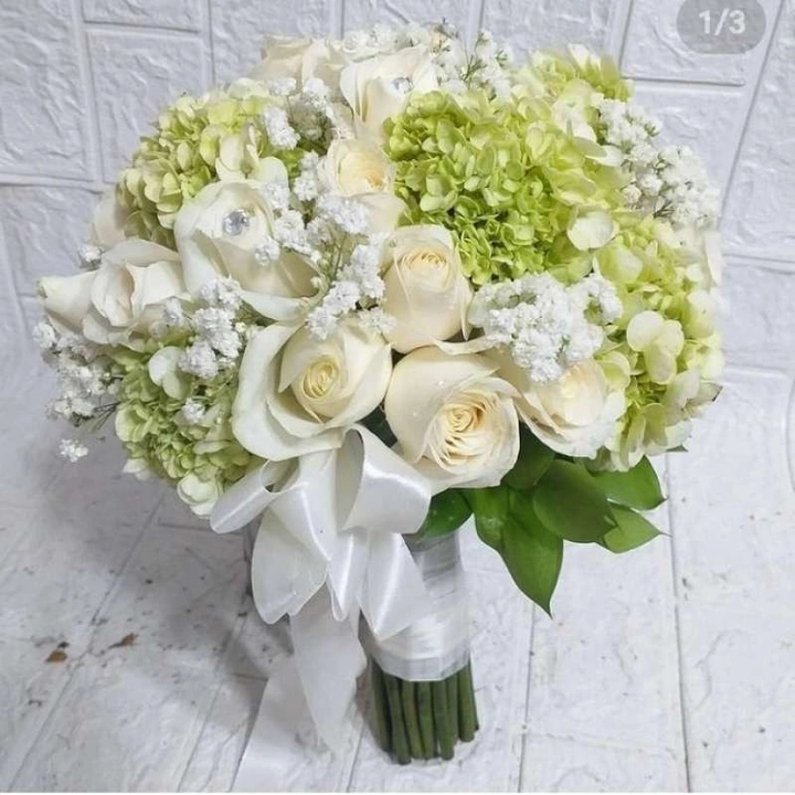 FARAH8455