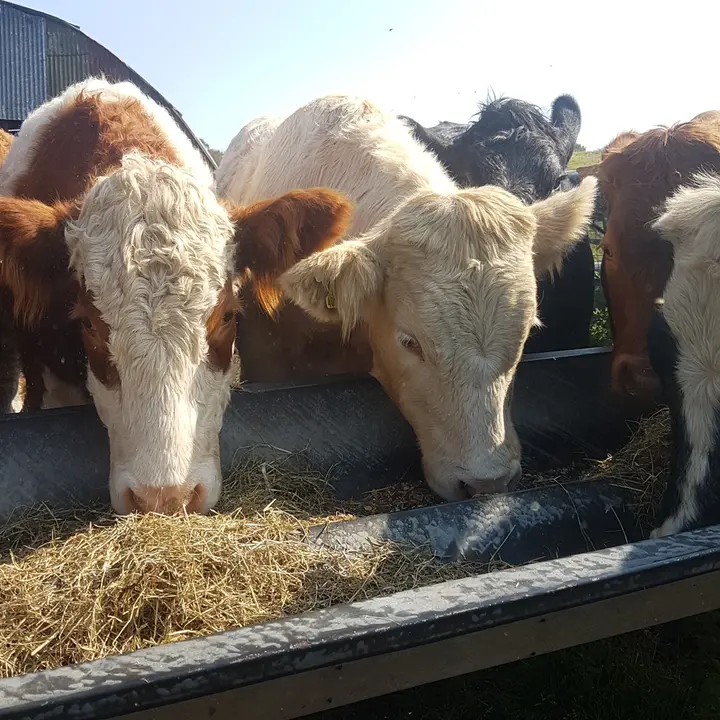 🔰𝒶𝑔𝓇𝒾.6𝓂🔰