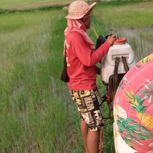 Narathip  Pluempnon