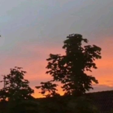 🌷 f i t s _ b e l l a 🌷