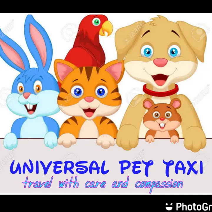 Universal Pet_taxi