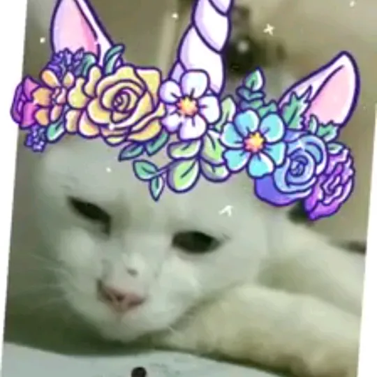 barbadoslime thriftstore