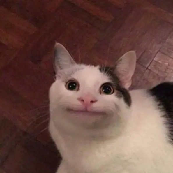 clipssksk