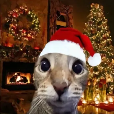 StupidCatInAChristmasHat|2.7K