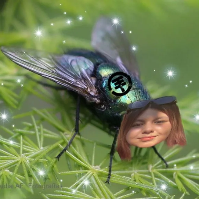 unamoscaparadaenlapared1