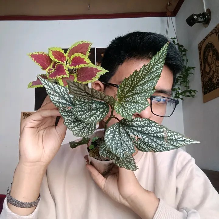 tik.plants🌱