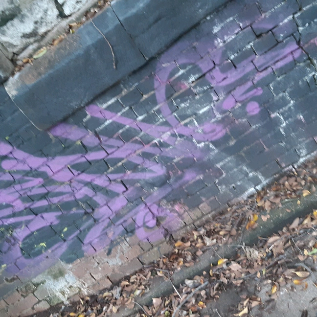 bane_bruz