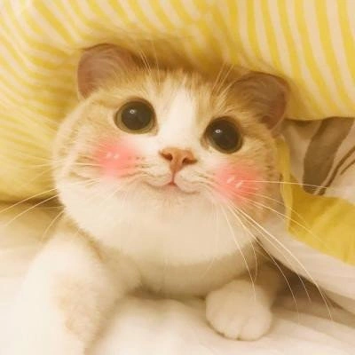 Kiss💋