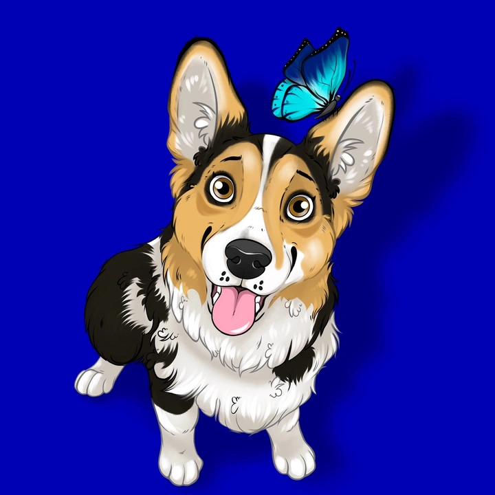 Corgi Luna