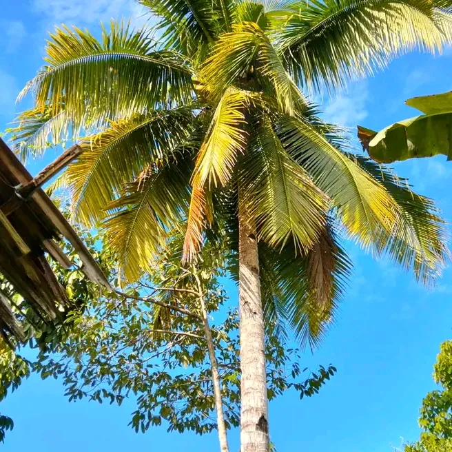 🈹🈹🉐㊙️🈯💹🚫🔞🚱🚯🈵🈶🉑⁉️⁉️