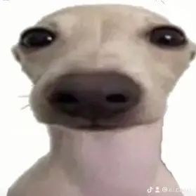 el canito