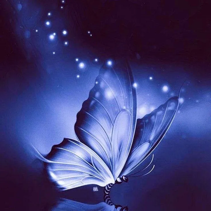 J🦋