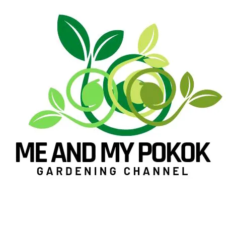 MeAndMyPokok