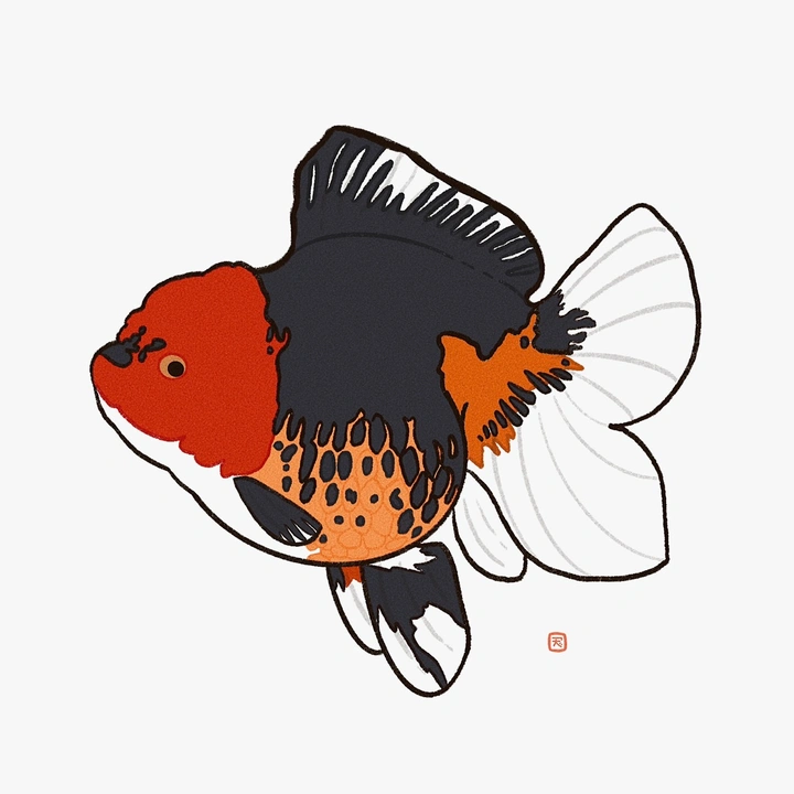 AHLIMOK AQUARIUM