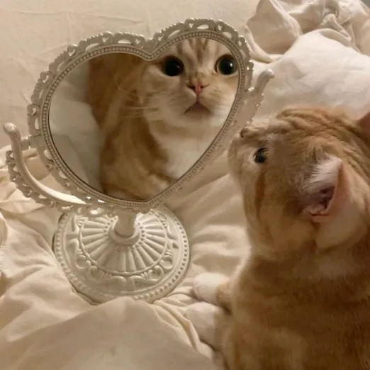 love yourself