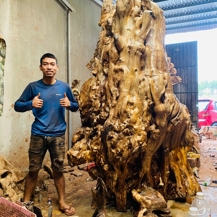 MỘC HOÀNG DŨNG 1