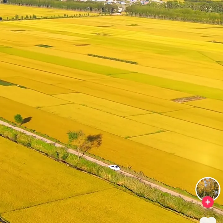 Nông nghiệp mới✌️