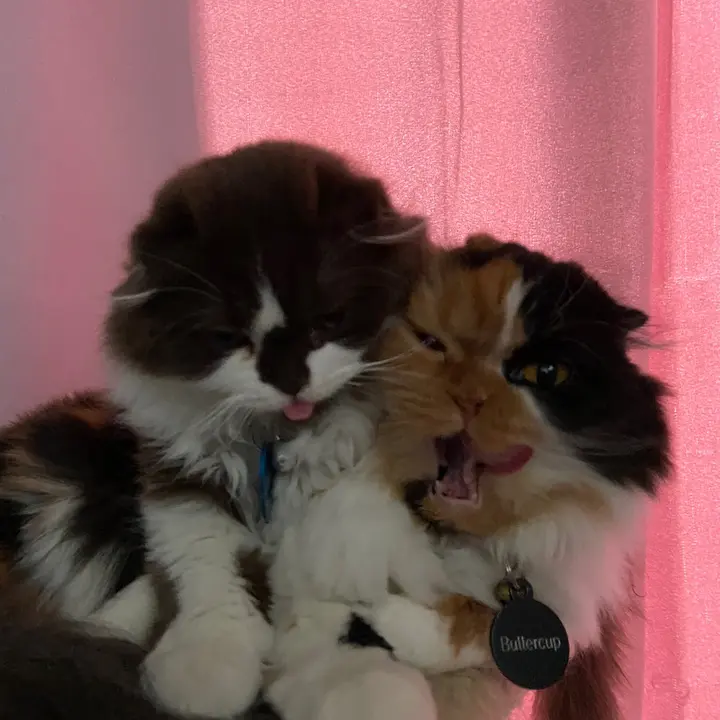 Freddy and his Mom