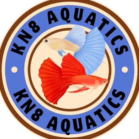 KN8 Aquatics