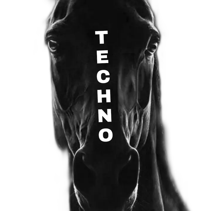 Techno Only