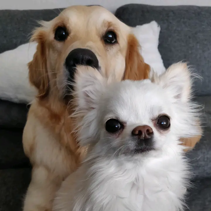 Macho & Mila