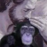glink 🐒